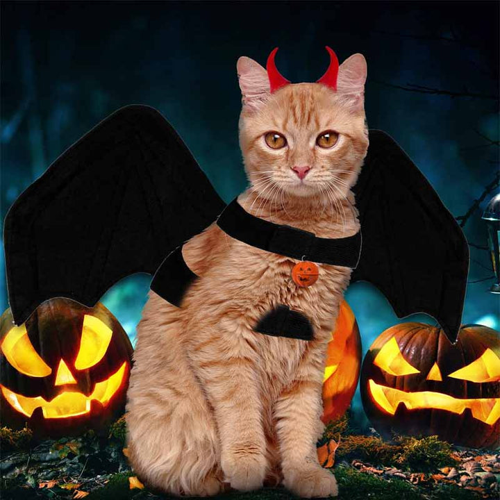 Halloween Dog Clothes Black Bat Wings