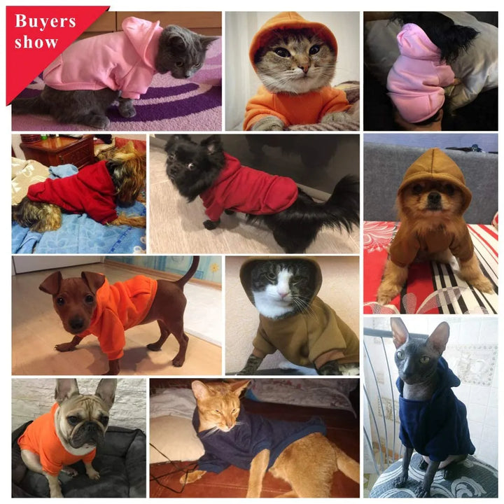 Cotton Pet Hoodie