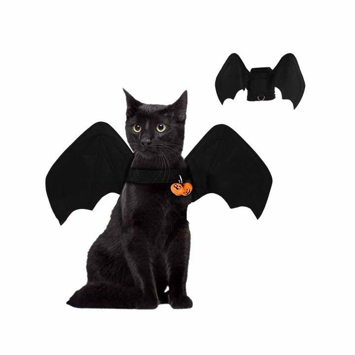 47191564026159|47191564058927|47191564091695