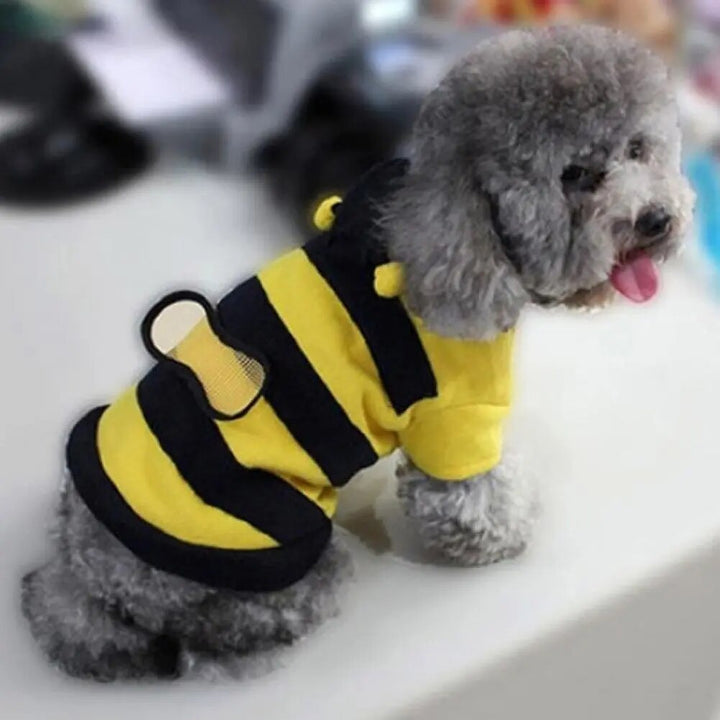 Funny Pet Bee Cosplay