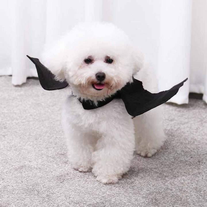 Halloween Dog Clothes Black Bat Wings