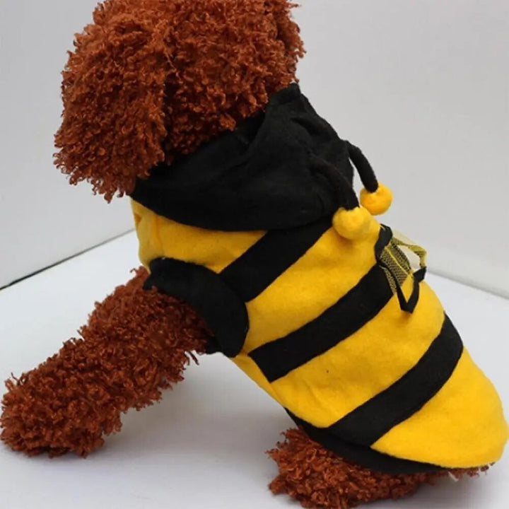 Funny Pet Bee Cosplay