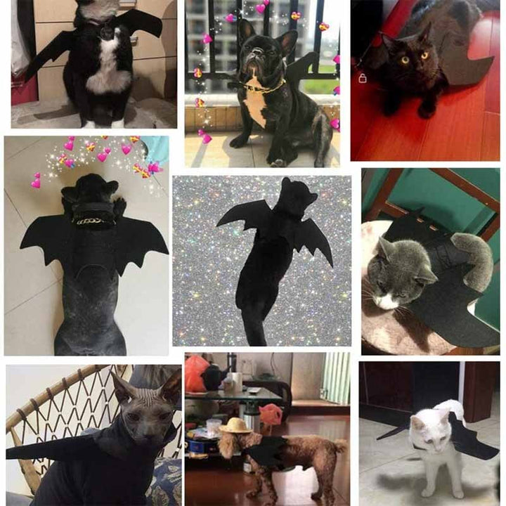 Halloween Dog Clothes Black Bat Wings