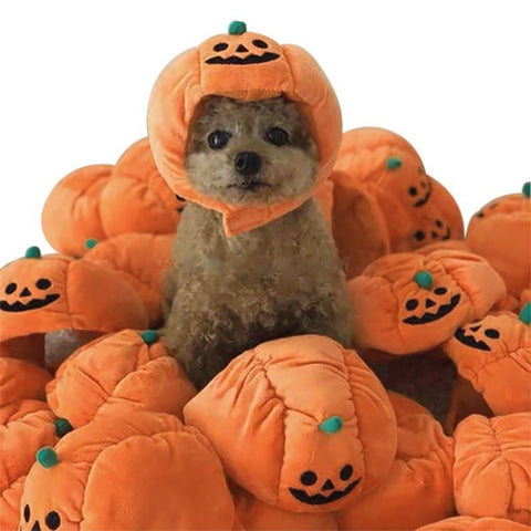 Pet Pumpkin Halloween Hat