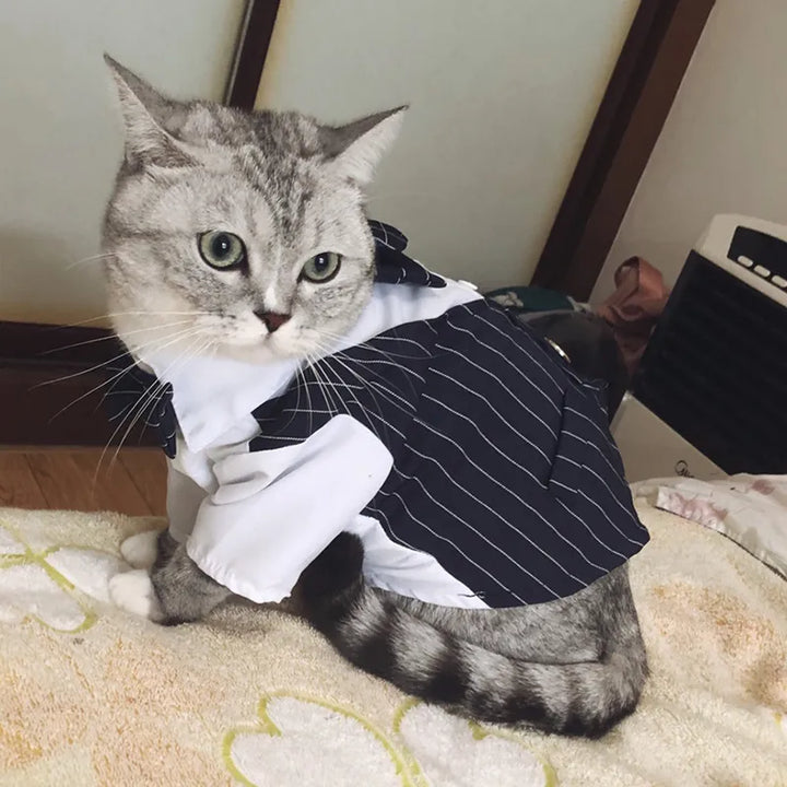 Handsome Pet Party Suit