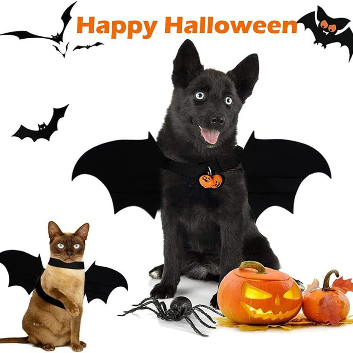Halloween Dog Bat Wings