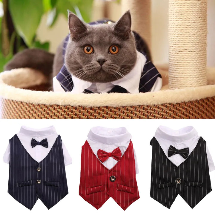 Handsome Pet Party Suit