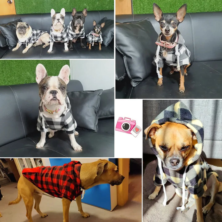 Plaid Soft Wool Dog Hoodies