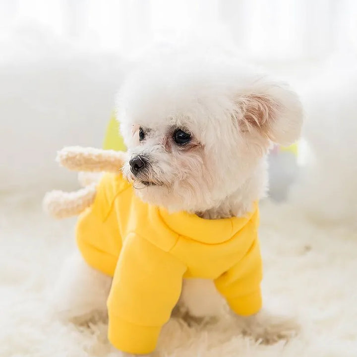 Fall Cute Bear Pet Dog Clothes