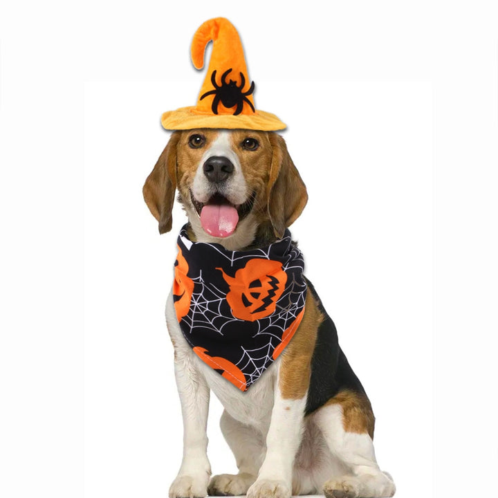 Halloween Dog Hat Set