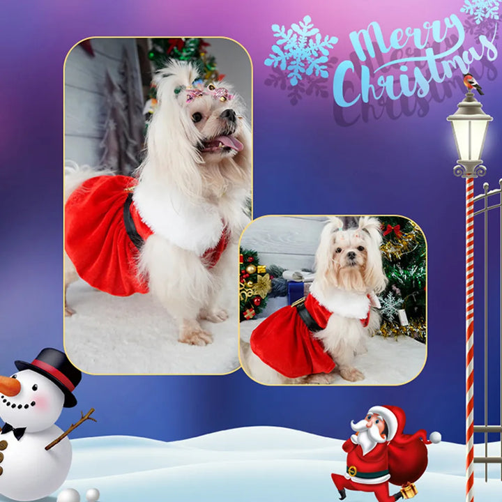 2023 Fancy Princess Puppy Christmas Dress