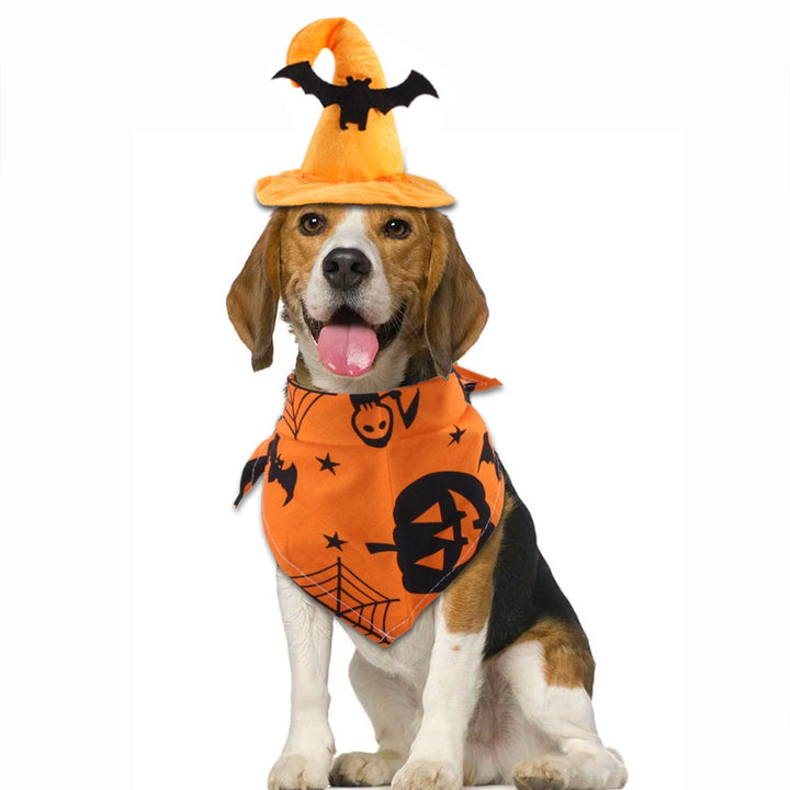 Halloween Dog Hat Set