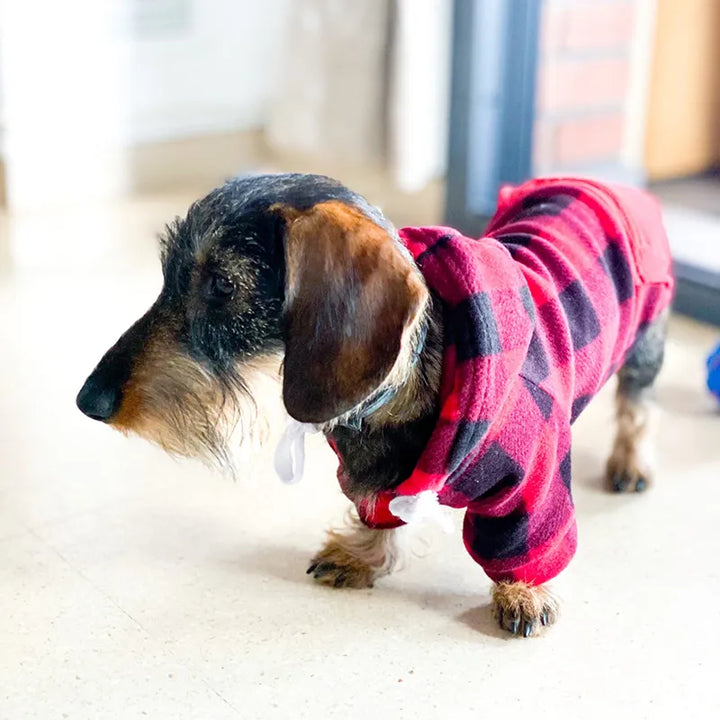 Plaid Soft Wool Dog Hoodies