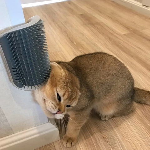 Cat Wall Corner Groomer